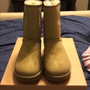 Classic Ugg Short Boots. 40:40:40 Collection